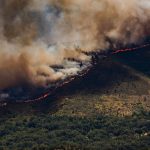 spain-declares-wildfire-emergency-as-10,000-evacuated