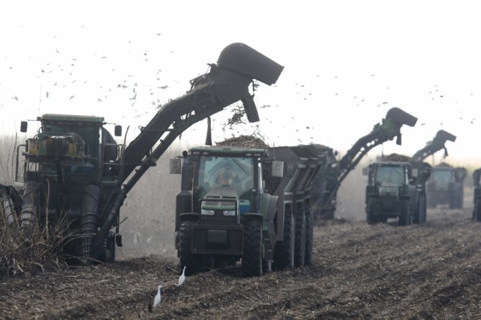 us-sets-2027-sugar-import-quotas-under-wto-commitments