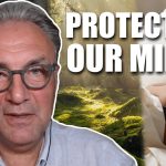 defending-your-brain-against-toxins-and-threats-–-christof-plothe-2/3