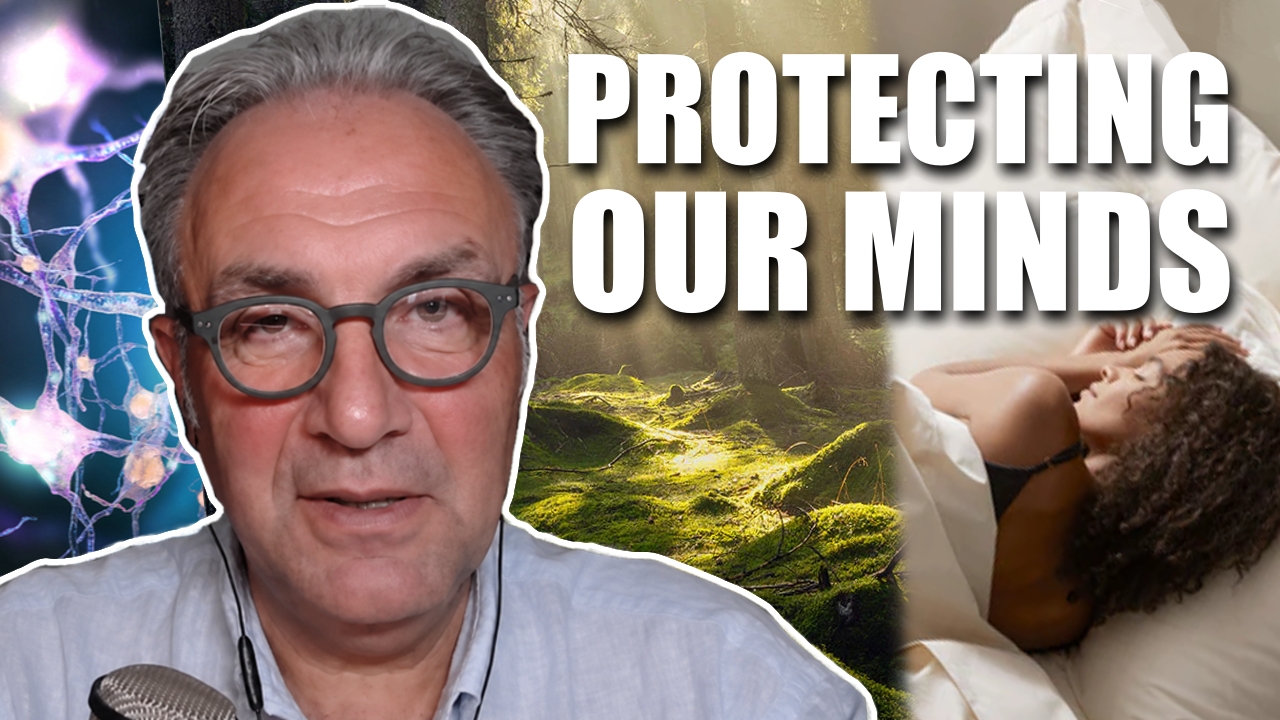 defending-your-brain-against-toxins-and-threats-–-christof-plothe-2/3