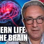 how-our-environment-is-harming-our-brains-–-christof-plothe-1/3