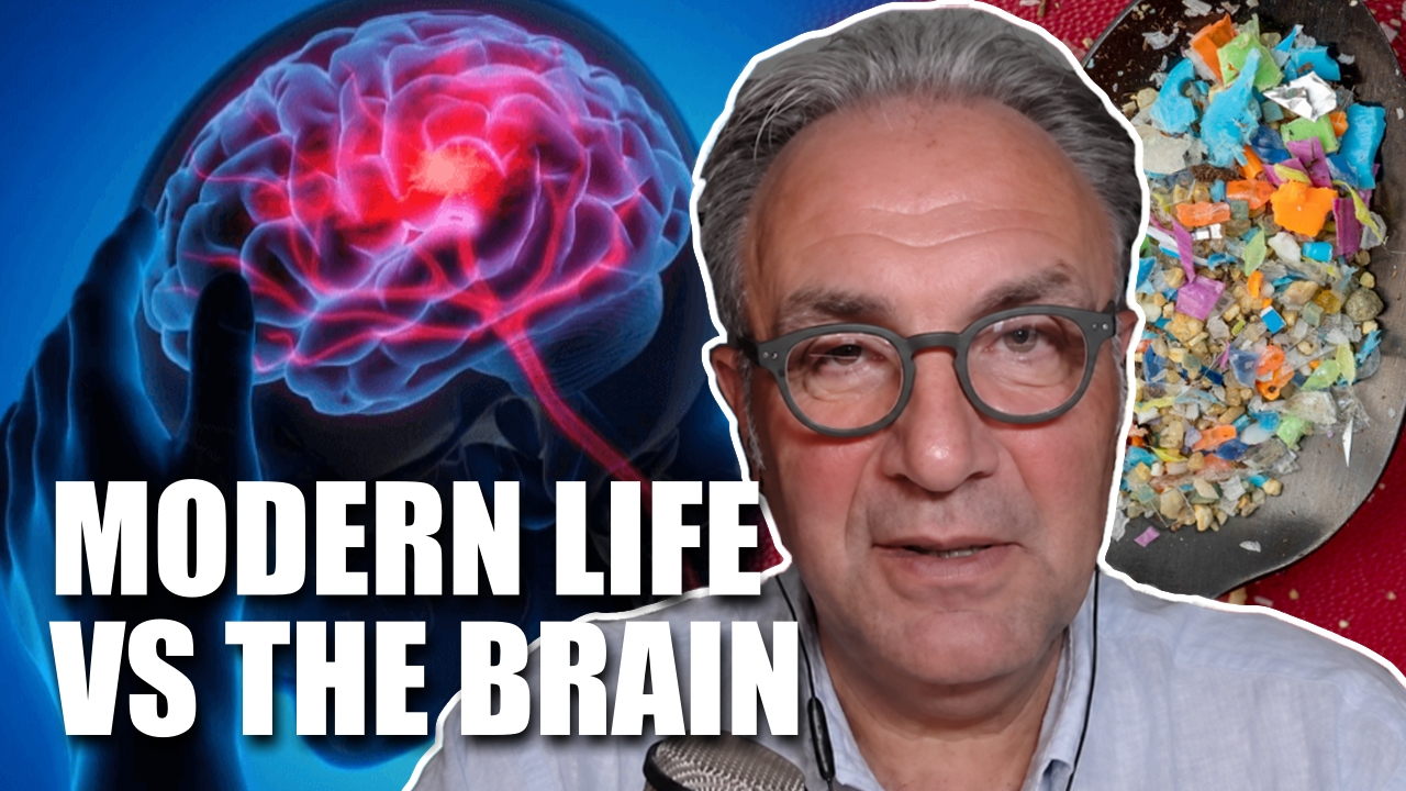 how-our-environment-is-harming-our-brains-–-christof-plothe-1/3