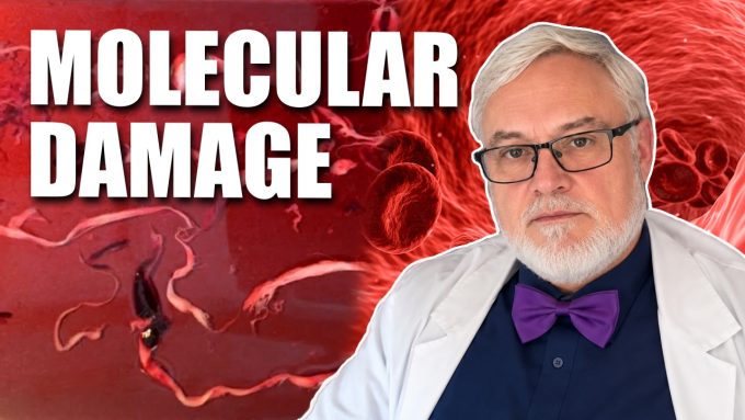 dr.-bruce-rapley:-concerning-proteomics-of-the-calamari-clots