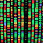 with-ai-spurring-research–and-paying-dividends–us-genesis-mission-gains-momentum