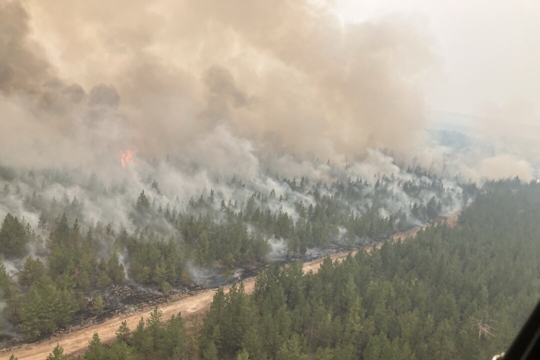 spreading-wildfires-in-bc-trigger-power-disruptions-across-province