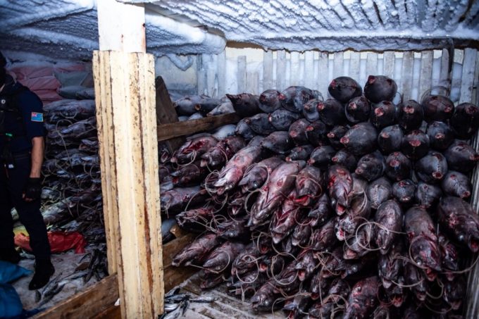 ‘going-dark’:-the-high-tech-tricks-behind-illegal-chinese-fishing-in-the-pacific