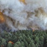 fire-in-forest-of-french-kings:-the-battle-to-save-fontainebleau