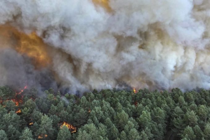 fire-in-forest-of-french-kings:-the-battle-to-save-fontainebleau