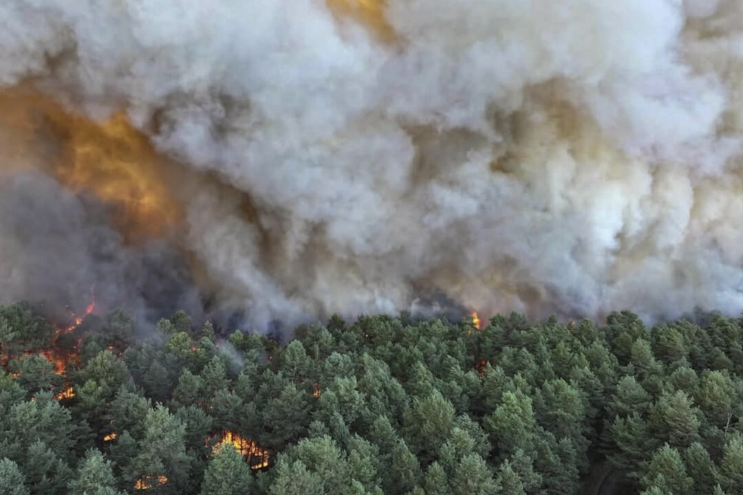 fire-in-forest-of-french-kings:-the-battle-to-save-fontainebleau