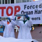 doctors,-lawyers-urge-coordinated-action-against-forced-organ-harvesting-in-china