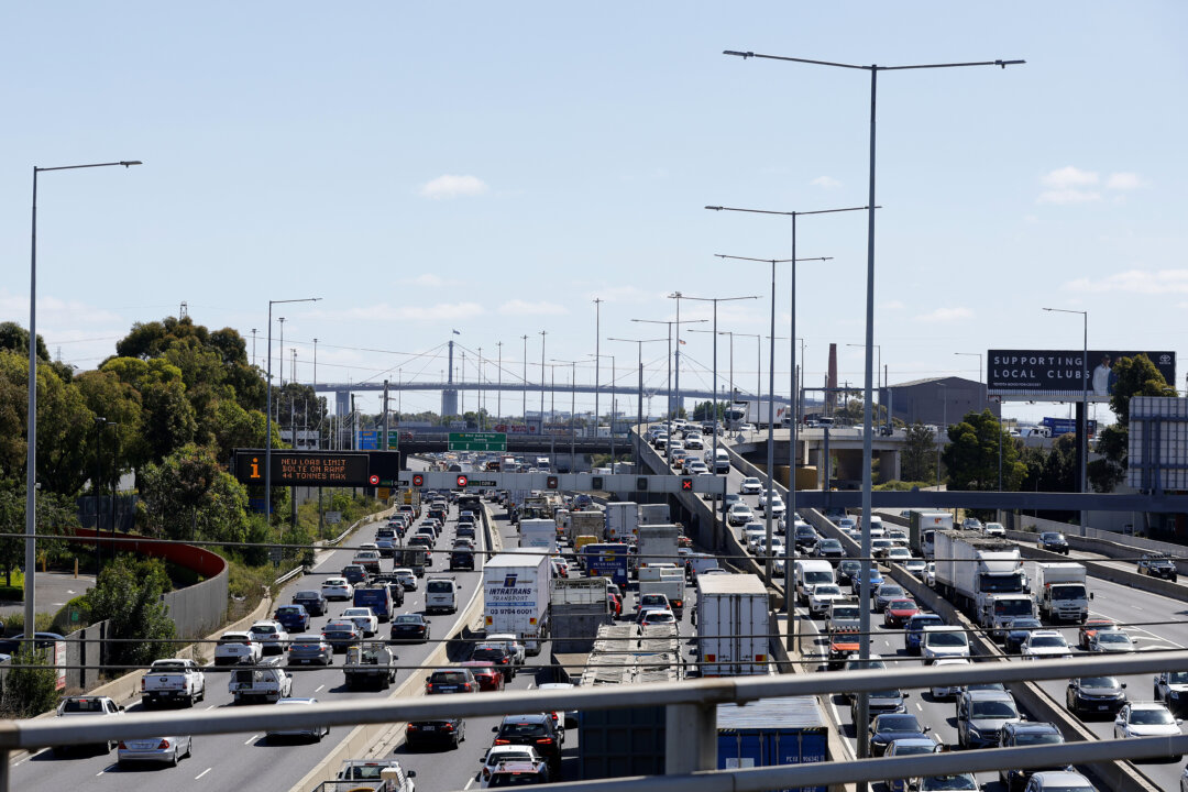 driving-law-review-puts-killer-motorists-on-notice