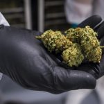 how-a-vancouver-atm-user-with-66-cards-set-off-years-long-probe-of-online-drug-sales