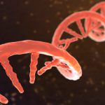 chinese-university-reviewing-gene-editing-research-as-family-discloses-daughter’s-death