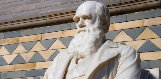 updating-darwin:-biologists-are-returning-to-an-older-theory-to-explain-anomalies-in-evolution