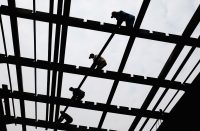 chinese-state-firms-expand-political-vetting-to-ordinary-employees,-requiring-extensive-personal-disclosures