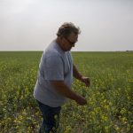 saskatchewan-senator,-farmer-todd-lewis-dies-at-age-65