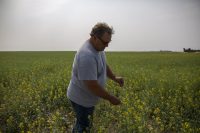 saskatchewan-senator,-farmer-todd-lewis-dies-at-age-65