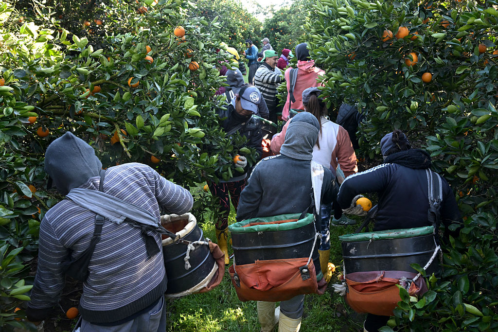 commissioners-call-for-tougher-measures-to-combat-modern-slavery-in-australia