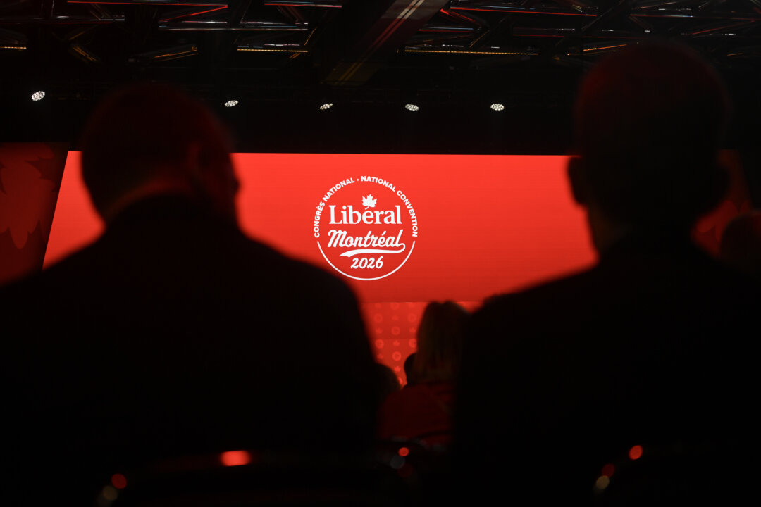 federal-liberals-choose-new-national-director