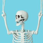 bones-are-much-more-dynamic-than-scientists-once-believed-–-they-even-have-a-daily-rhythm