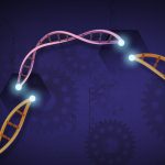 another-child-death-in-china-gene-editing-trial-disclosed-nearly-a-year-later