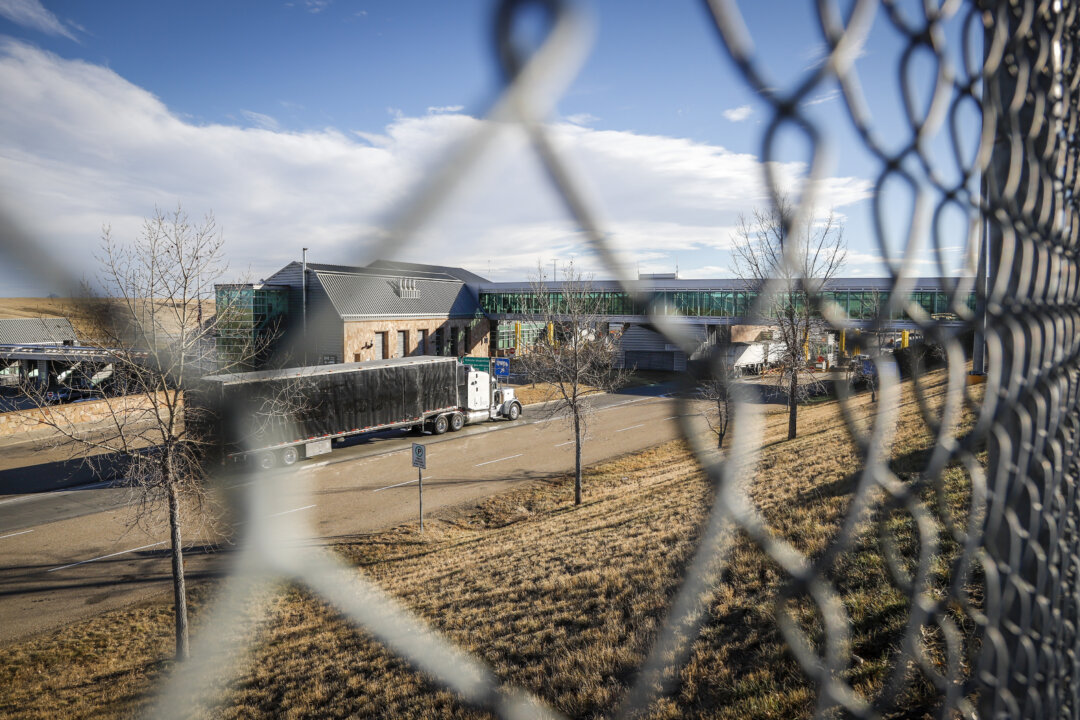 alberta-forces-shutdown-of-trucking-firm-tied-to-fatal-manitoba-collision