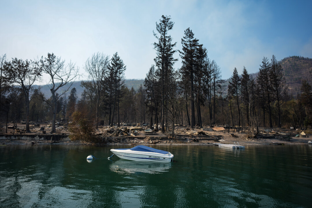 bc-police-launch-wildfire-arson-investigations,-as-blazes-raise-trauma-in-shuswap