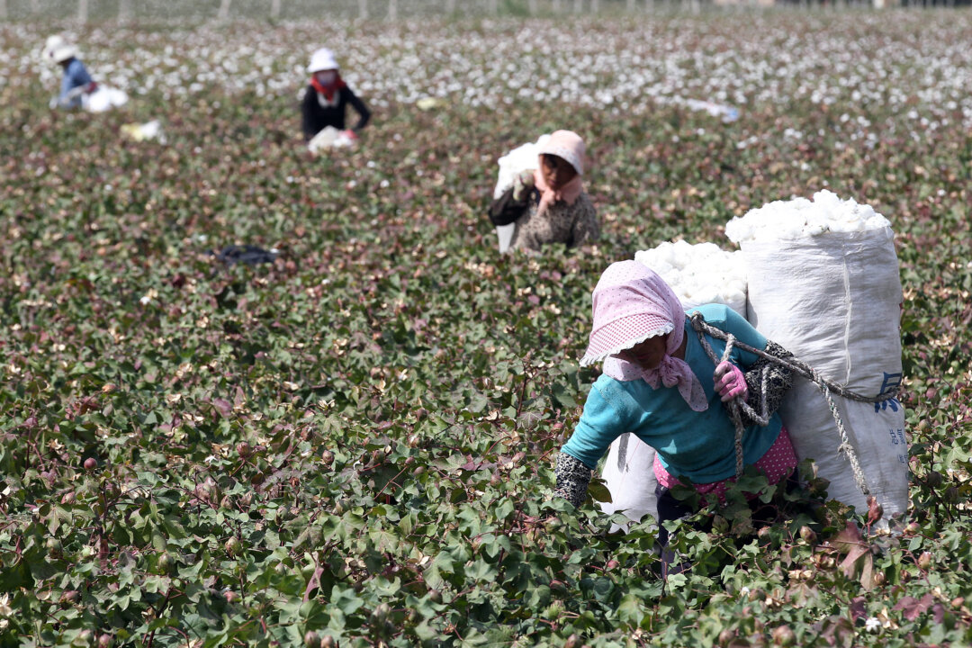 beijing-sanctions-2-us-labs-that-can-prove-where-cotton-grew
