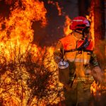 europe’s-wildfires-have-raised-the-danger-posed-by-unexploded-wwii-bombs