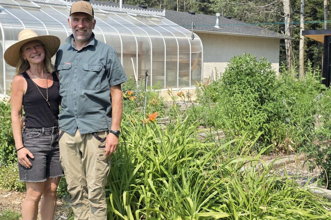 calgary-area-farm-restoring-soil-health-through-regenerative-agriculture