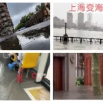 shanghai-hit-by-heaviest-rainfall-in-150-years-as-typhoon-dolphin-batters-eastern-china
