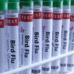 australia-to-roll-out-bird-flu-vaccines,-5-native-species-at-high-risk