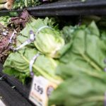 acting-fda-chief-urges-americans-to-have-confidence-in-food-supply