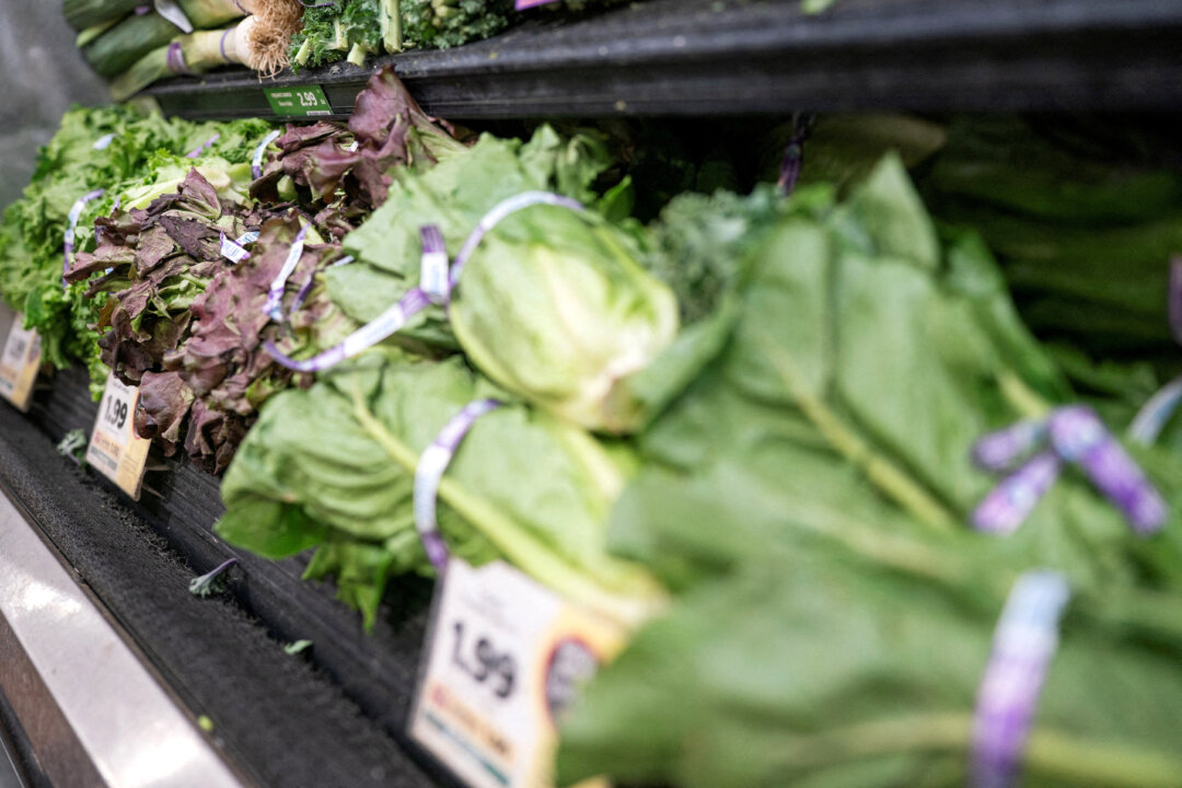 acting-fda-chief-urges-americans-to-have-confidence-in-food-supply