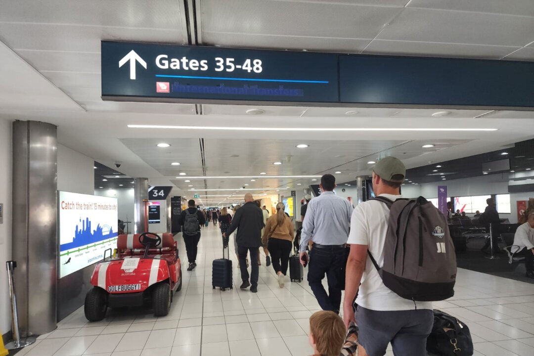 visa-slowdown-for-backpackers-amid-calls-to-slash-migration