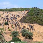 morocco-arrests-294-migrants-attempting-to-enter-spain’s-city-of-ceuta