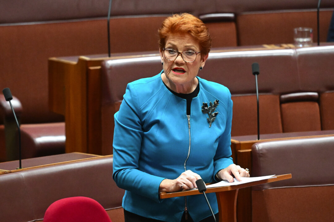 hanson-pushes-back-on-proposal-to-raise-gst-to-15-percent