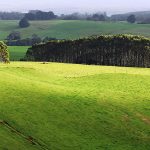 senate-rejects-inquiry-into-sale-of-tasmania’s-biggest-farm,-9,000-hectares-for-carbon-credit-use