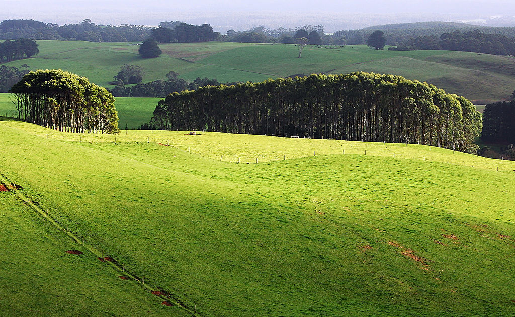 senate-rejects-inquiry-into-sale-of-tasmania’s-biggest-farm,-9,000-hectares-for-carbon-credit-use