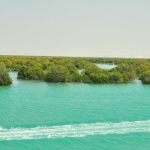 iran-oil-spill:-the-war-is-leaving-environmental-scars-that-ceasefires-cannot-heal
