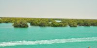 iran-oil-spill:-the-war-is-leaving-environmental-scars-that-ceasefires-cannot-heal