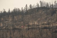 charred-road-to-recovery-as-crews-work-to-restore-services-in-bc’s-south-okanagan