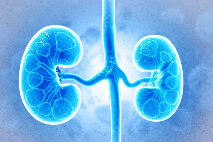 3-ways-your-health-data-could-help-the-next-patient,-according-to-an-australian-nephrologist