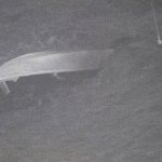 3-people-detained-after-alleged-drug-boat-capsizes