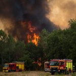 debate-over-forest-management-heats-up-after-record-wildfires-in-europe