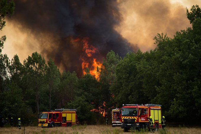 debate-over-forest-management-heats-up-after-record-wildfires-in-europe