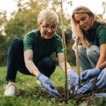 the-legal-risks-of-volunteering