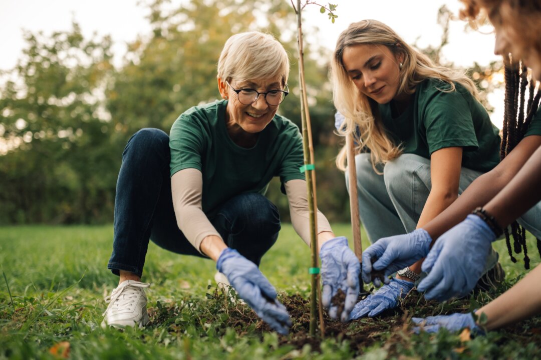 the-legal-risks-of-volunteering