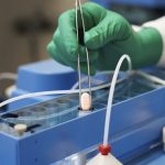 covid-antivirals-less-effective-than-first-thought,-research-finds