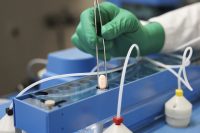 covid-antivirals-less-effective-than-first-thought,-research-finds